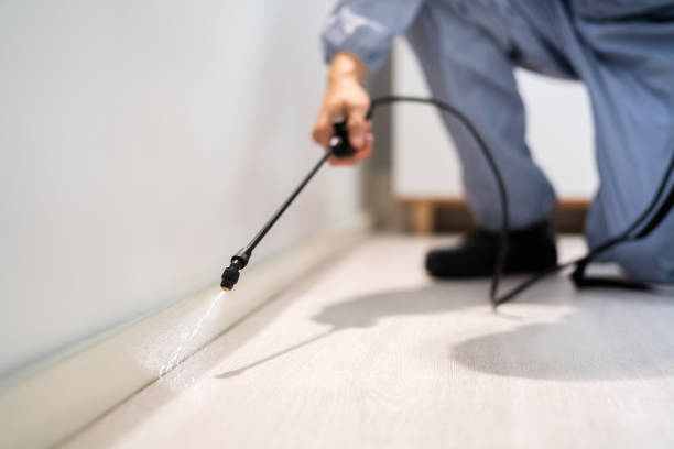 Licensed Ant Control service in Akron, OH - Nex Pest Control