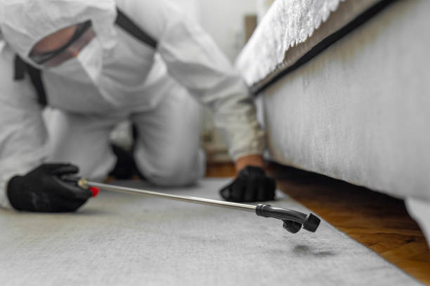 Professional Ant Control technician working in Akron, OH