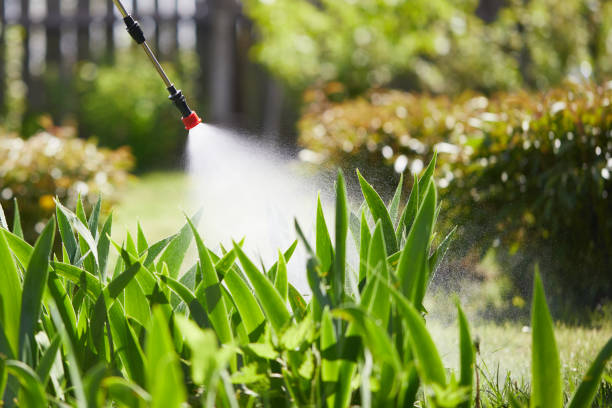 24/7 Emergency Ant Control experts in Akron, OH
