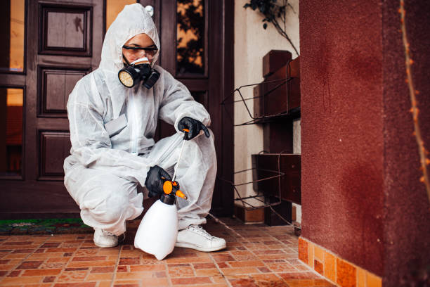 Reliable Ant Control contractor in Akron, OH by Nex Pest Control